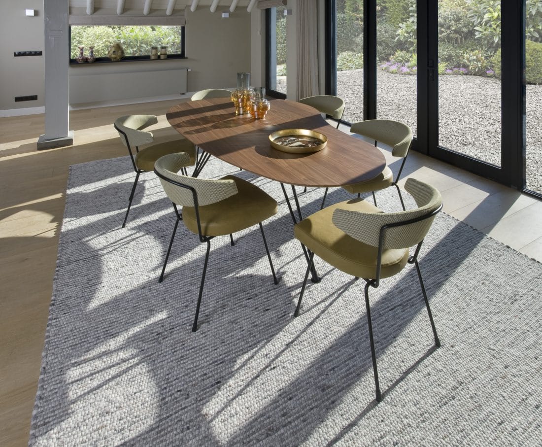 Overskyet Spisebord Nødder Skive Spisestole Moderne Design Skaleret